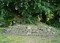 Tilleul du château de Coppenbrügge, nommé Peterlinde (de) en mémoire du passage de Pierre le Grand.