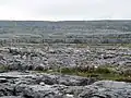 Paysage typique du parc national du Burren.