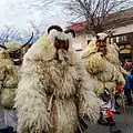 Busójárás, Mohács, Hongrie.