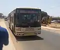 Bus.