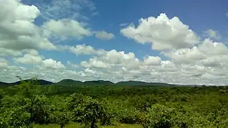 Bushbuckridge