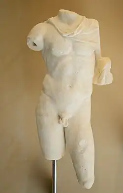 Torse d'un homme.