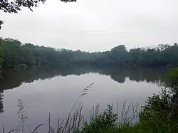 L'étang.