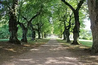 L'allée.