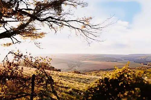 Butte de Vergy.