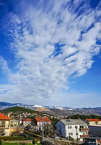 Buzdohanj