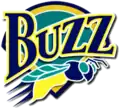 Le Buzz de Salt LakeDe 1994 à 2000.