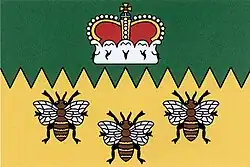 Drapeau de Bynovec