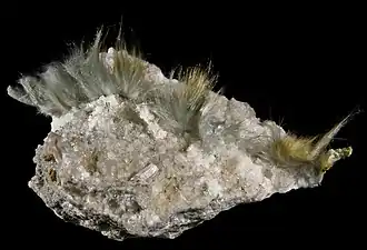 Byssolite.