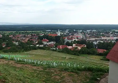 Bzenec : vue générale.