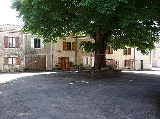 Cézan