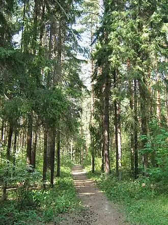 Zeliony Gorod