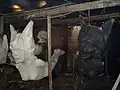 Figures du Carnaval de Pasto. Le moule en terre à droite et la figure en papier mâché à gauche.