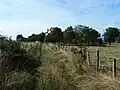 L'arrivée à la machine fixe du plan incliné de Biesse.