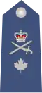 Brigadier-général de l'Aviation royale canadienne