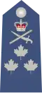 Lieutenant-général de l'Aviation royale canadienne