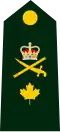 Brigadier-général de l'Armée canadienne