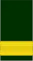 Bande à la manche d'un général de l'Armée canadienne