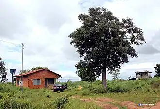 Santa Tereza do Tocantins