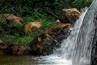 Araripe