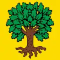 Blason de Échallens