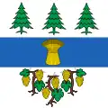 Begnins