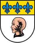 Blason de Borgnone