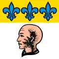Drapeau de Borgnone