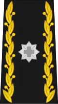 Brigadier (commandant d'une brigade) (br)