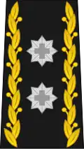 Divisionnaire (commandant d'une région territoriale, chef de l'État-Major de l'Armée) (div)