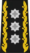 Commandant de corps (chef de l'Armée, des Forces terrestres ou des Forces aériennes) (cdt C)