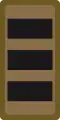 OF-5a - Colonel