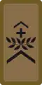 OR-5 - Sergent