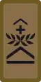 OR-6 - Sergent-chef