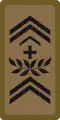 OR-9a - Adjudant d'état-major