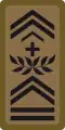 OR-9c - Adjudant-chef
