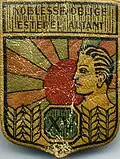Insigne du CJF 15 (1er&nbsp;modèle).
