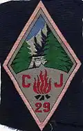 Insigne du CJF 29 - Groupe 10.