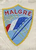 Insigne du CJF 23 (1er&nbsp;modèle).