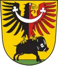 Blason de Žamberk