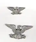 Ces deux insignes de colonel ont un dessin particulier, ce qui était encore possible à l'époque, le plus petit est un insigne de col en argent massif fabriqué par le joaillier Luxenberg.