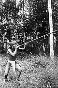 Indonesien et sa sarbacane, circa 1920.