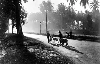 La Jacatraweg (aujourd'hui Jalan Pangeran Jayakarta) au début de XXe&nbsp;siècle.