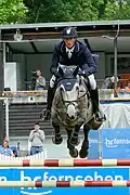 Irenice Horta