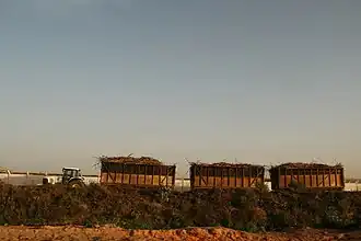 Transport.