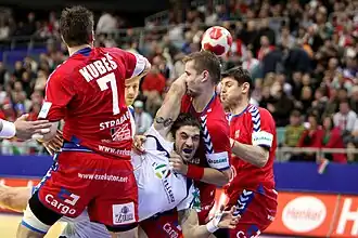 Bertrand Gille, lors du Championnat d'Europe 2010.