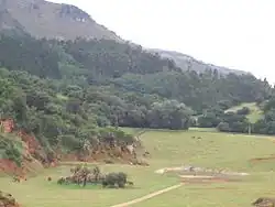Enclos des éléphants d'Afrique