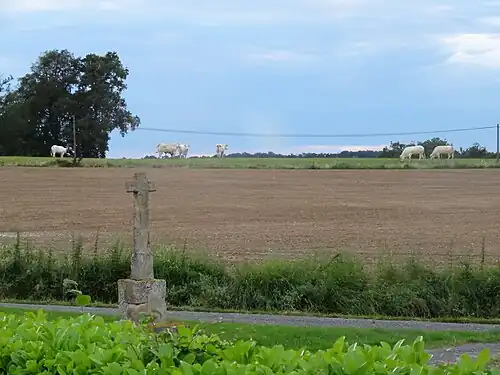 Autre vue.