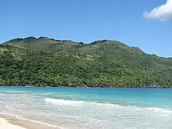Climat de forêt tropicale humide dans la province de Samana, République dominicaine.