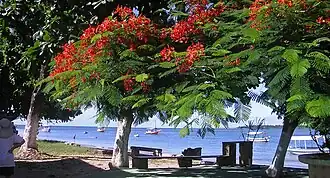 Vera Cruz (Bahia)